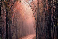 平博PB：官方：海港B队结束为期三周的韩国拉练，期间进行了8场热身赛.