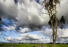 体坛：U20国青将暂时解散，王钰栋等多人将跳级进入U22.