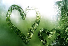 [台球]庞俊旭晋级世界公开赛八强.