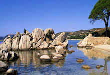 世界杯半決賽 阿根廷克羅地亞門神之戰 梅西莫德裏奇離世界杯兩步之遙.